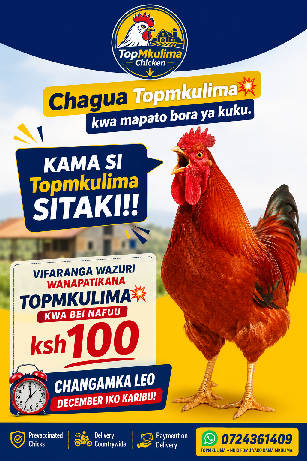 Offer 12