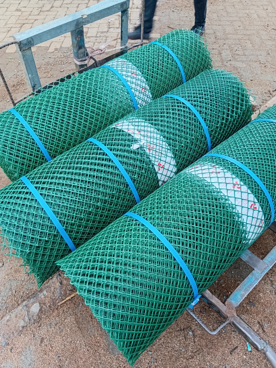 Offer 19