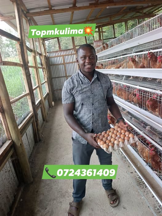 FARMER TIPS